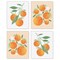 Big Dot of Happiness Little Cutie Clementine - Unframed Orange Citrus Kitchen Linen Paper Wall Art - Set of 4 - Artisms - 8 x 10 inches